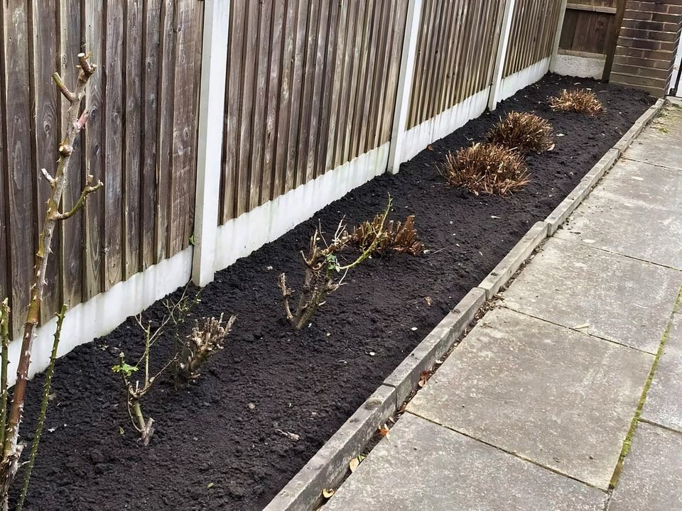 After: Fence border cleared to bare soil, with the remaining plants cut back
