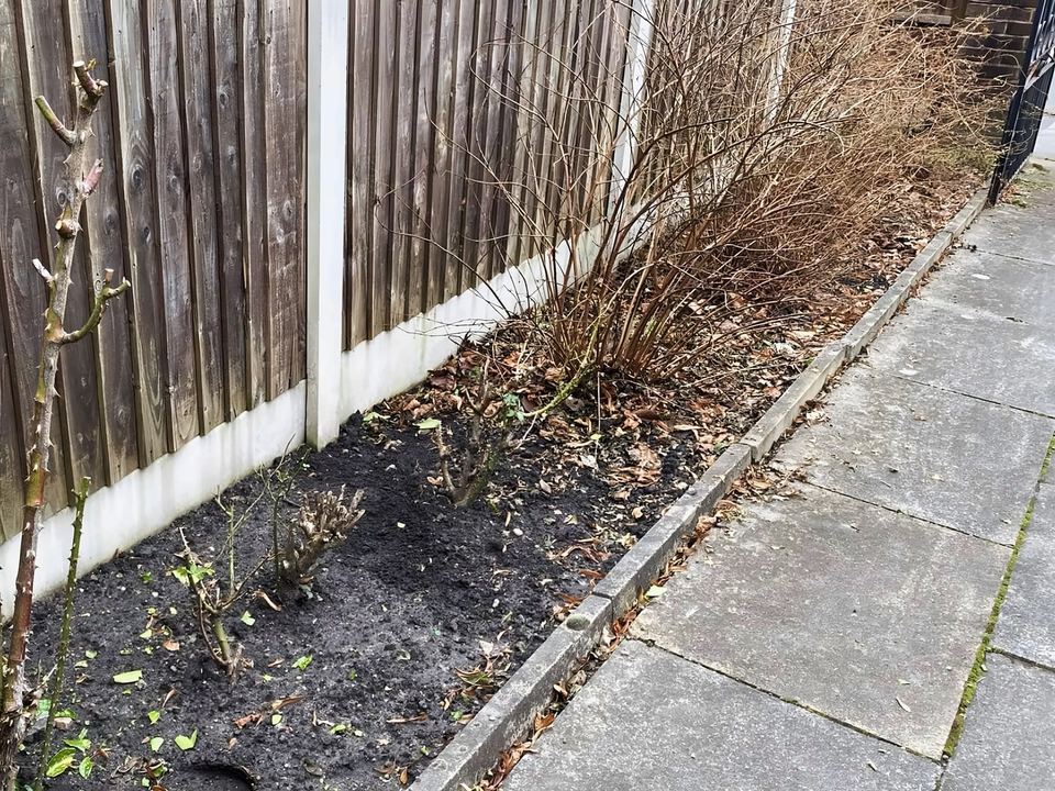 Before: Border along a closeboard fence, full of dead stems and fallen leaves