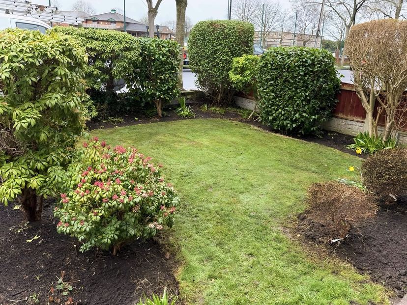 Front garden with the borders cleared to bare soil and the shrubs trimmed