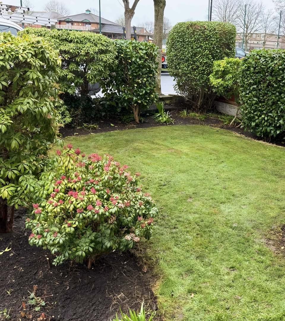 Front garden with the borders cleared to bare soil and the shrubs trimmed